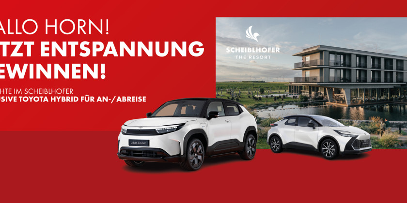 Horn Gewinnspiel
