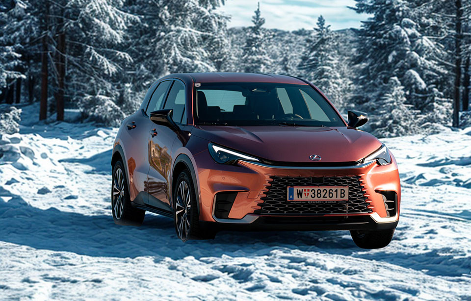 Lexus Winterpaket