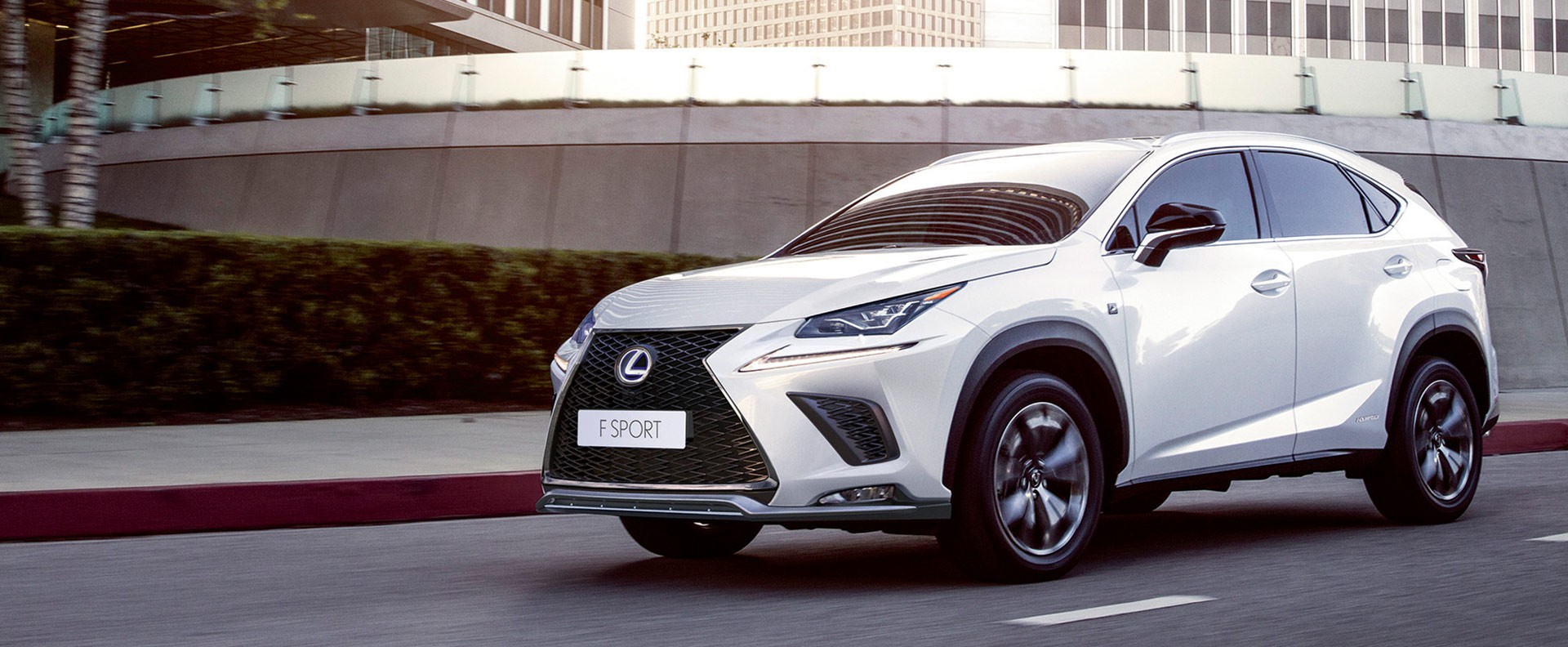 Zubehör Lexus NX
