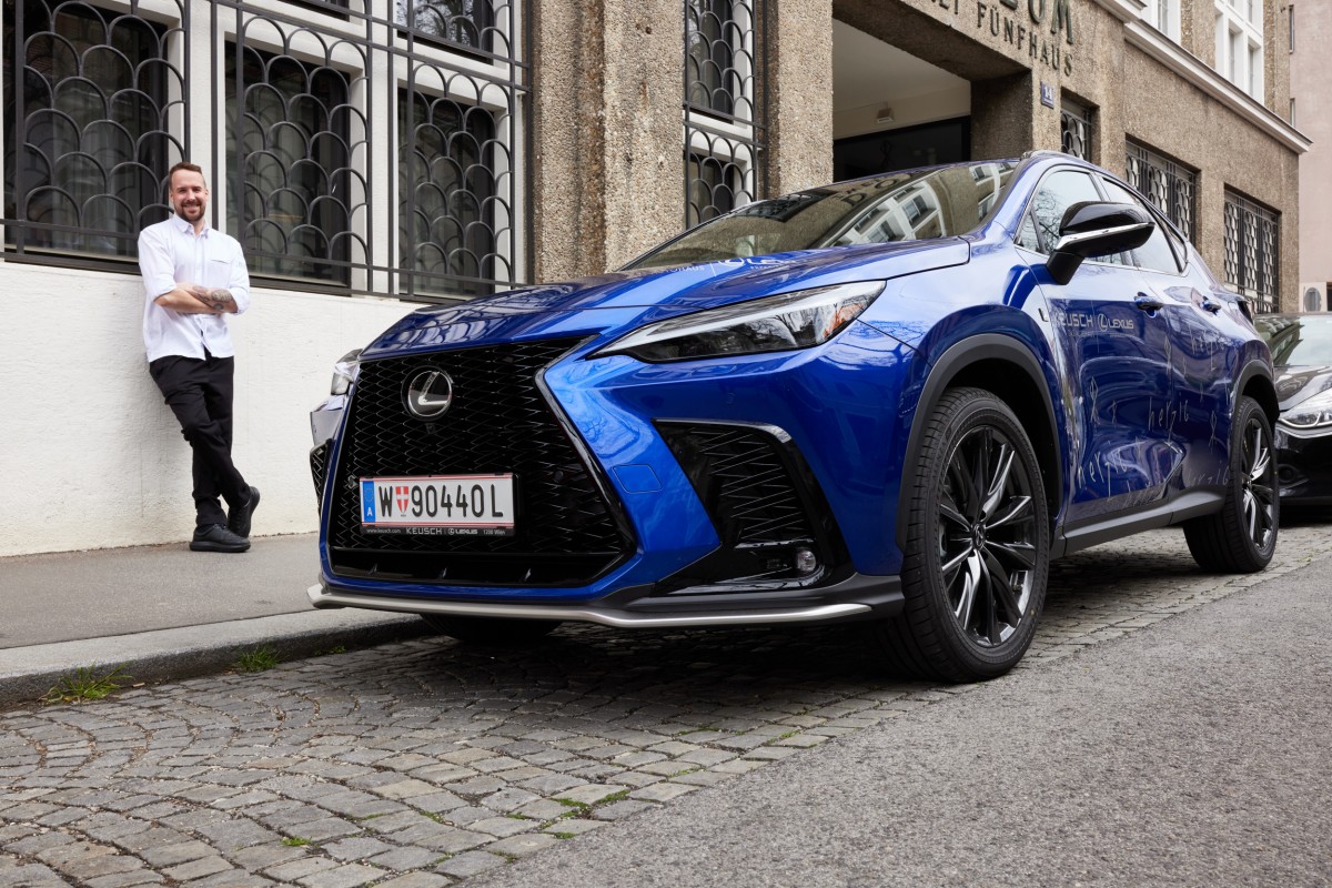 Herzig Lexus NX