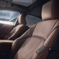 Lexus ES300h Sitze