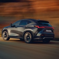 Lexus NX MY22 Heckansicht