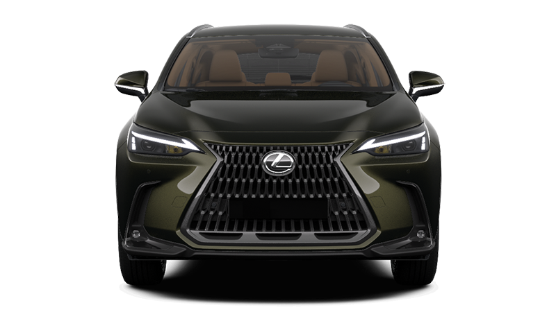 Lexus NX Frontansicht