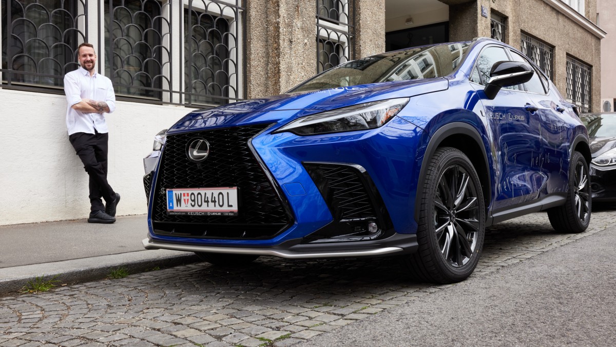 Herzig Lexus NX