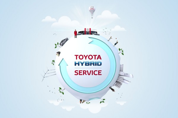 Hybrid Service Check Bild